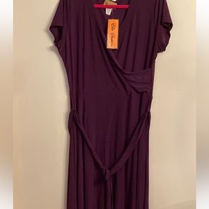 Ella Samani Eggplant V-neck Dress w Cap Sleeve